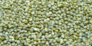 Tusker Berry Millet