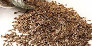 Dill Seeds