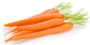 Fresh Carrots