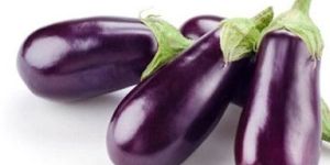 Fresh Eggplant
