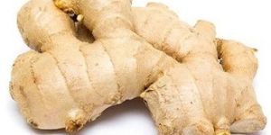 Fresh Ginger