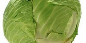 Fresh Green Cabbage