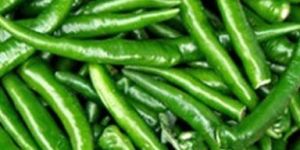 Fresh Green Chilli