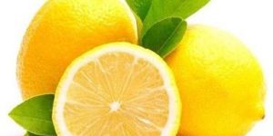 Fresh Lemon