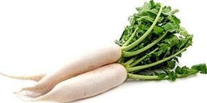 Fresh Radish