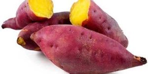 Fresh Sweet Potato