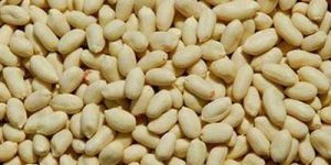 Blanched Peanut
