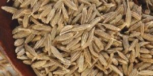 Cumin Seeds