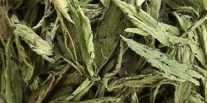 Dry Stevia Leaves