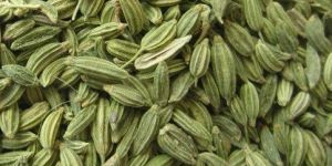 Fennel Seed
