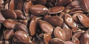 Flax Seed
