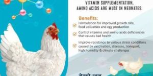 Poultry Growth Promoter Supplement