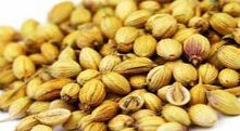 Coriander Seed