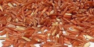 Organic Red Rice