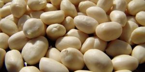 Blanched Peanuts