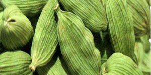 Green Cardamom