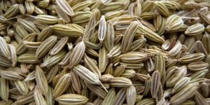 Fennel Seeds