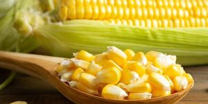 Yellow Maize