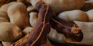 Tamarind