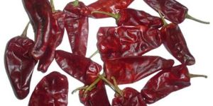 Tomato Chapata Warangal Chilli