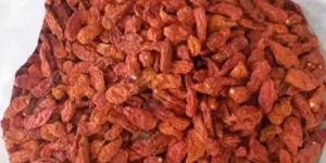 dried bhut jolokia pepper