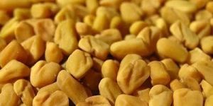 Fenugreek Seeds
