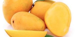 Alphonso Mango