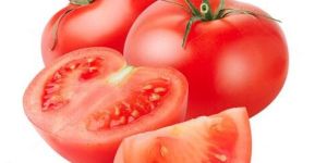 Fresh Tomato