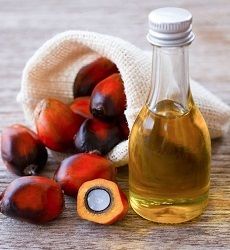 Crude Palm Kernel Oil