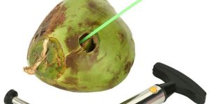Coconut Cutter