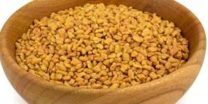 Fenugreek Seed