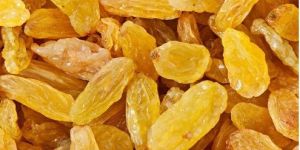 Yellow Raisins Premium