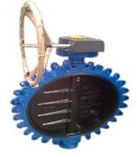 Wafer Lug Type Butterfly Valve Gear Operated