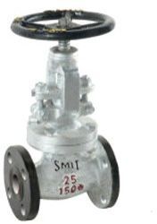 Globe Valve