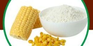 Corn Starch