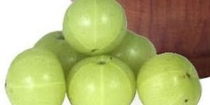 Fresh Amla