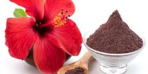 Hibiscus Powder