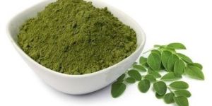 Moringa Leaves