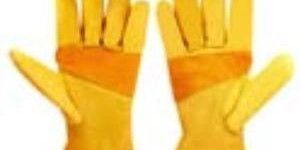 Glove Yellow Grain Leather Driver