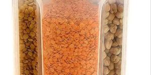 4 Section Storage Containers