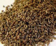 Celery Seed Select Oil