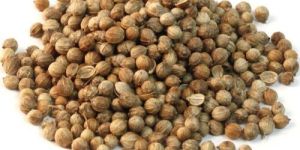 Coriander Whole