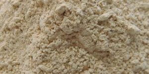 Dehydrated Garlic Powder