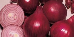 Fresh Red Onion