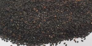 Black Sesame Seed