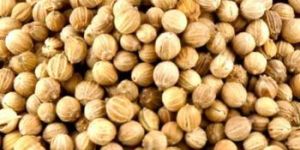 Coriander Seeds