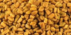 Fenugreek Seeds