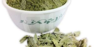 Senna Leaf Powder