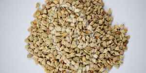 Senna Seeds
