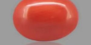Red Coral Gemstone 1.88 Carat